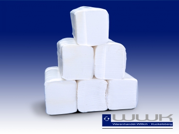 Handtuchpapier 2-lagig